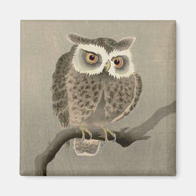 Aimant hibou à longues oreilles (Devant)