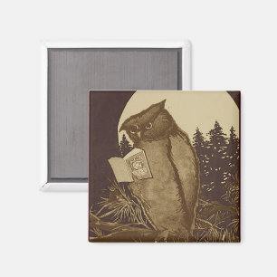 Aimant Hibou lisant au clair de lune