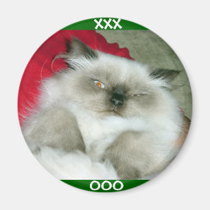 Aimant Himmy Squinty