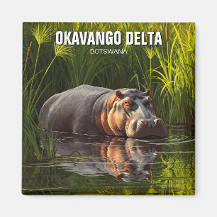 Aimant Hippo dans le delta de l'Okavango au Botswana