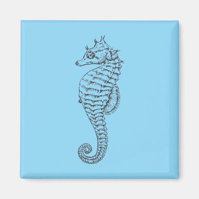 Aimant hippocampe graphique en bleu clair (Devant)