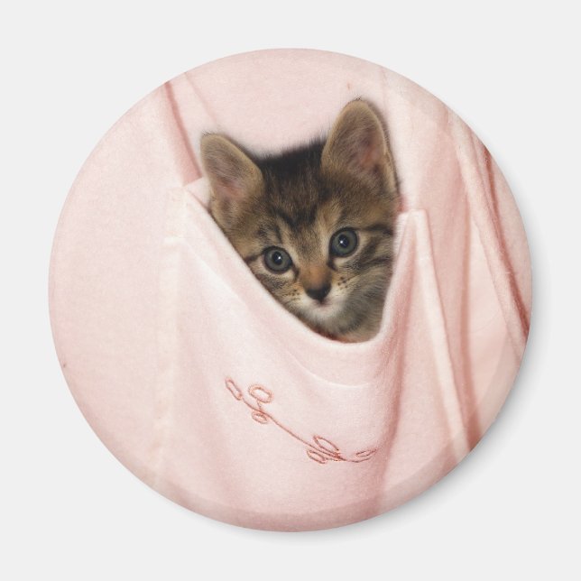 Aimant Hippodrome (Devant)