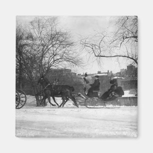 Aimant hippomobile de Sleigh NYC