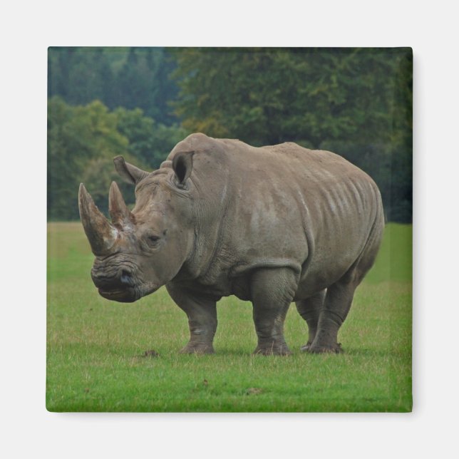 Aimant Hippopotame (Devant)