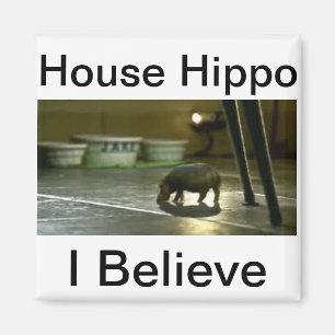 Aimant Hippopotame de Chambre