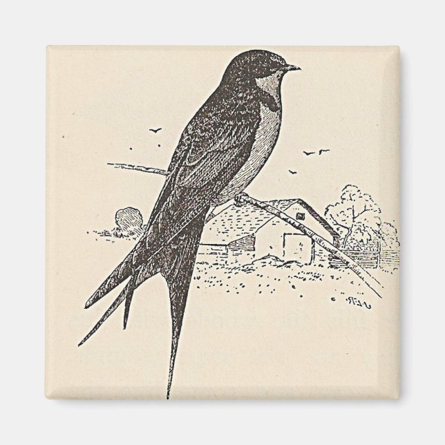 Aimant Hirondelle à la grange (Devant)