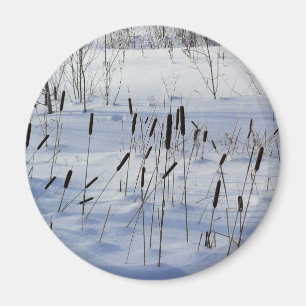 Aimant Hiver au Québec