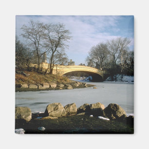 Aimant Hiver NYC de Central Park de pont d'arc
