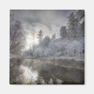 Aimant Hoarfrost le long d'une pente à l'île Kelly