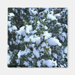 Aimant Holly couvert de neige