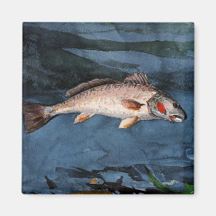 Aimant Homer - Channel Bass, Floride,