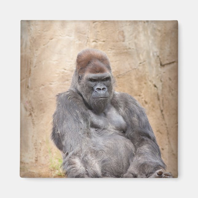 Aimant Homme Gorilla (Devant)