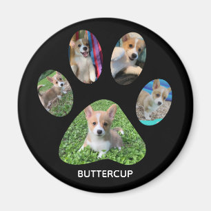 Aimant Homologation personnalisée de l'Empreinte de patte