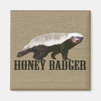 Aimant Honey Badger Wild Animal