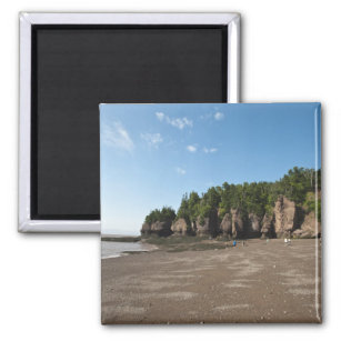 Aimant Hopewell Rocks and The Ocean Tidal Exploration