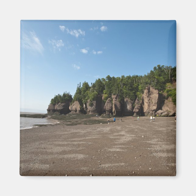 Aimant Hopewell Rocks et le site d'exploration de la maré (Devant)