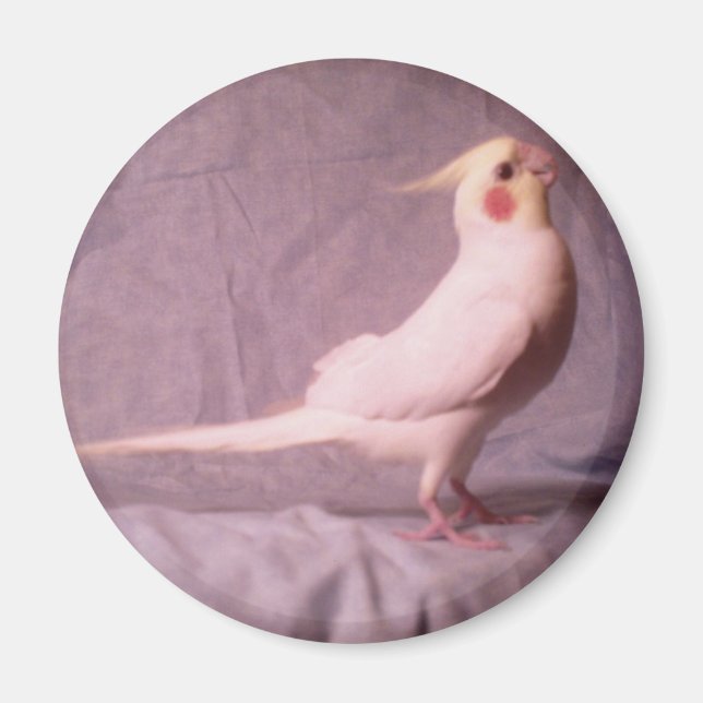 Aimant HOPPER (Devant)