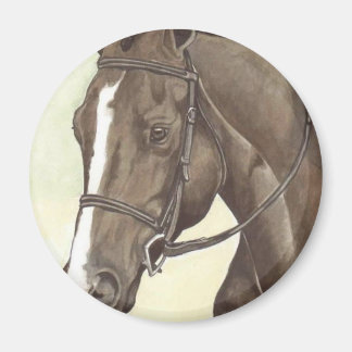 Aimant HORSE Champion Appendice QH Mare