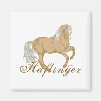 Aimant Horse d'Haflinger