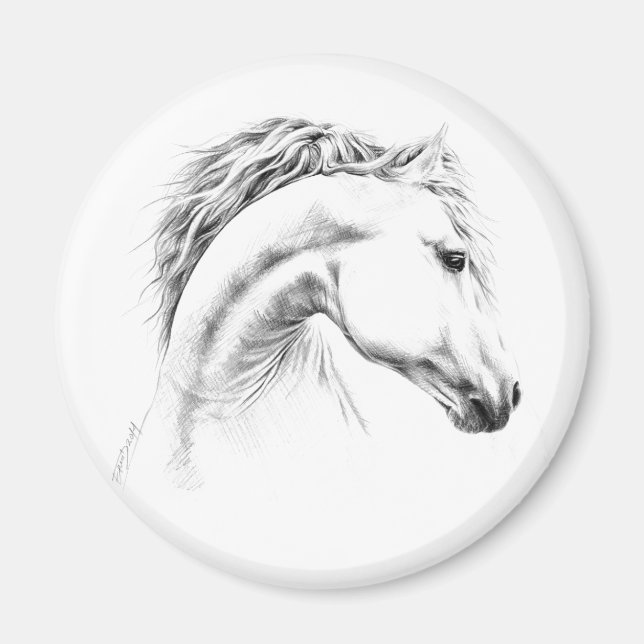 Aimant Horse portrait Pencil drawing Equestrian art (Devant)