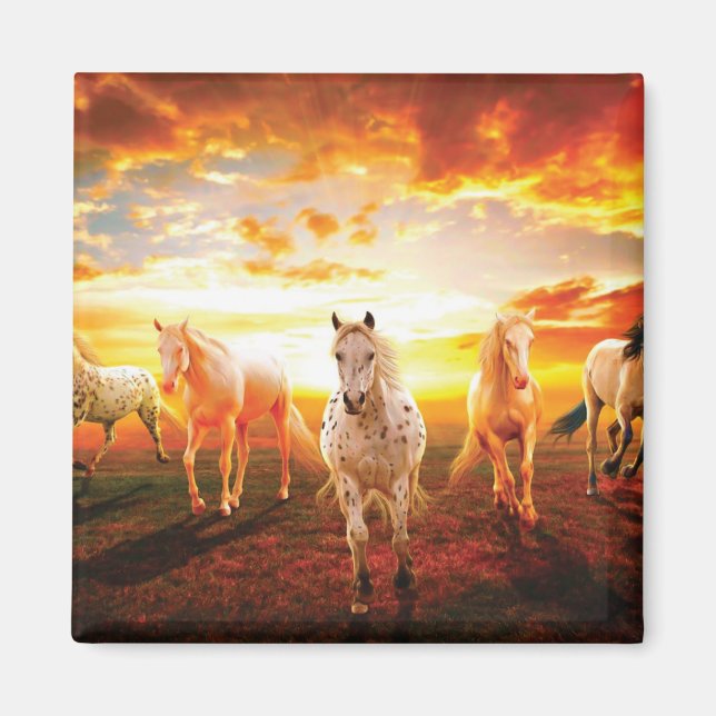 Aimant Horses at sunset throw pillow (Devant)