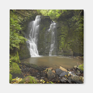 Aimant Horseshoe Falls, Matai Falls