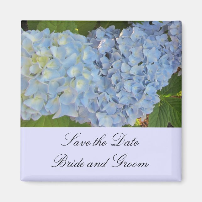Aimant Hortensias Bleu Bébé (Devant)
