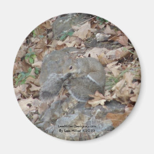 Aimant Hot Springs Mountain, AR Squirrel Cadeaux Camoufla