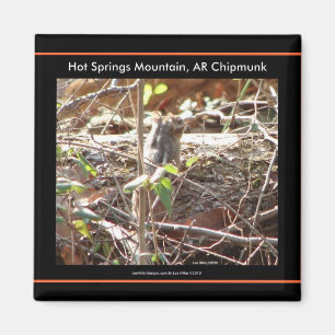 Aimant Hot Springs Mountain, Arkansas Chipmunk Cadfts
