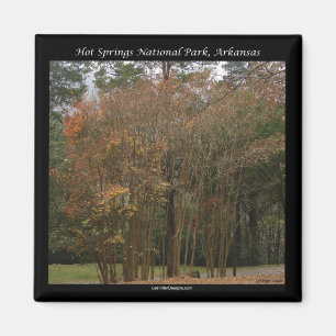 Aimant Hot Springs National Park, AR Au-dessus de la prom