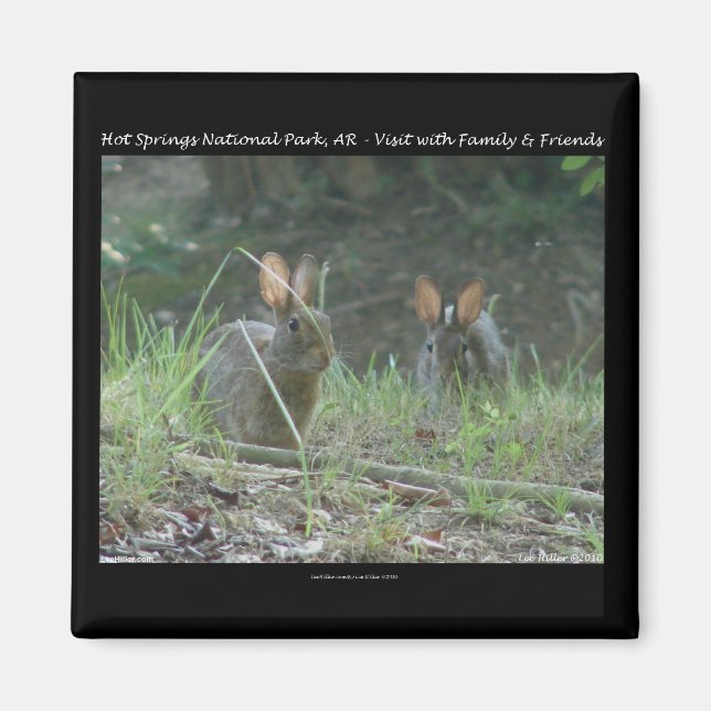 Aimant Hot Springs National Park, AR  Cadeaux de Lapins S (Devant)