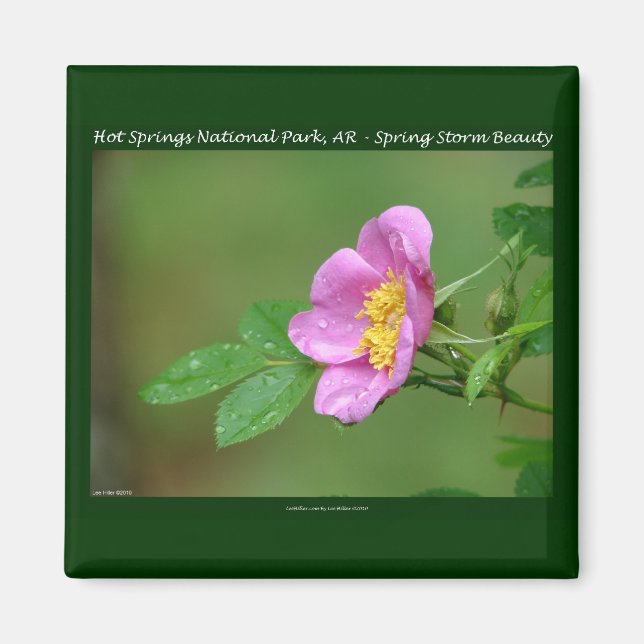 Aimant Hot Springs National Park, AR  Cadeaux Wild Rose (Devant)