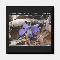 Hot Springs National Park, AR Wild Violets Cadeaux