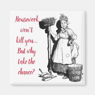 Aimant "House-work won't kill you" 