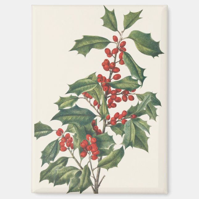Aimant Houx de Noël Classique avec Baies Rouges Art (Recto)