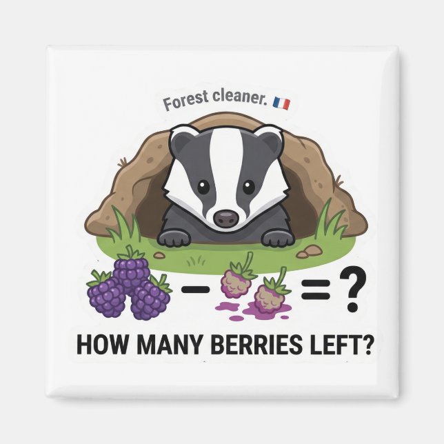 Aimant How Many Berries? Badger France Math Subtraction G (Devant)