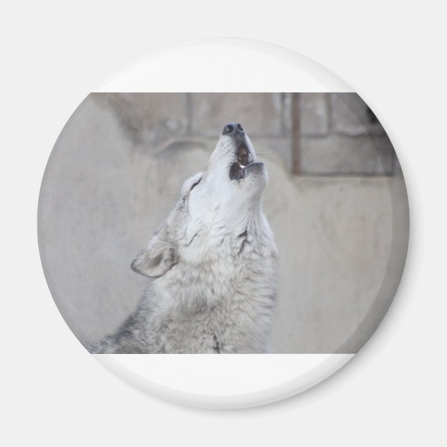 Aimant Howling Wolf (Devant)