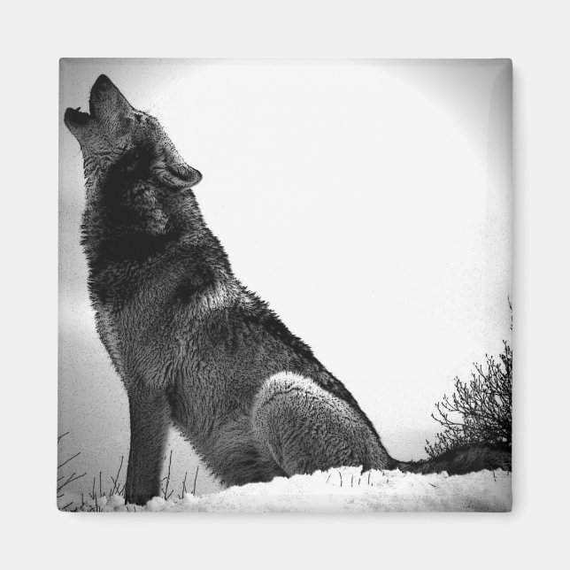Aimant Howling Wolf in Snow (Devant)