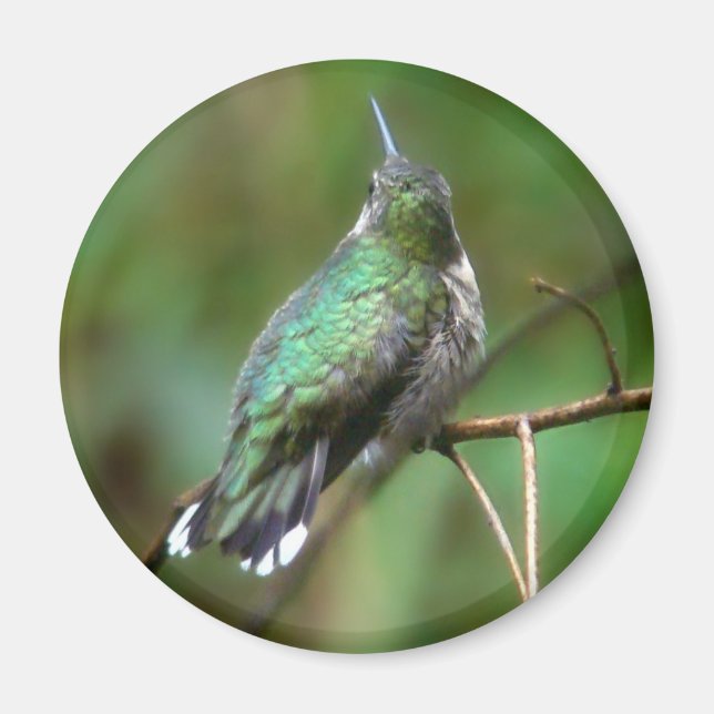 Aimant Humm, prendre un repos (Devant)