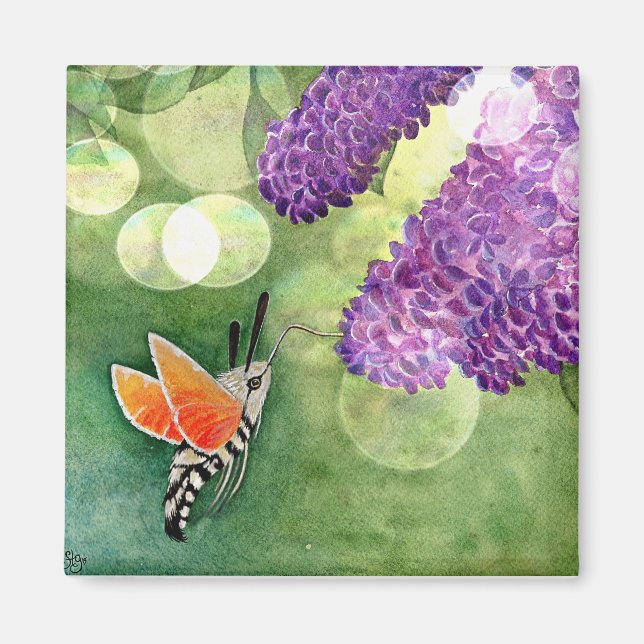 Aimant Hummingbird Hawk Moth and Lilacs (Devant)
