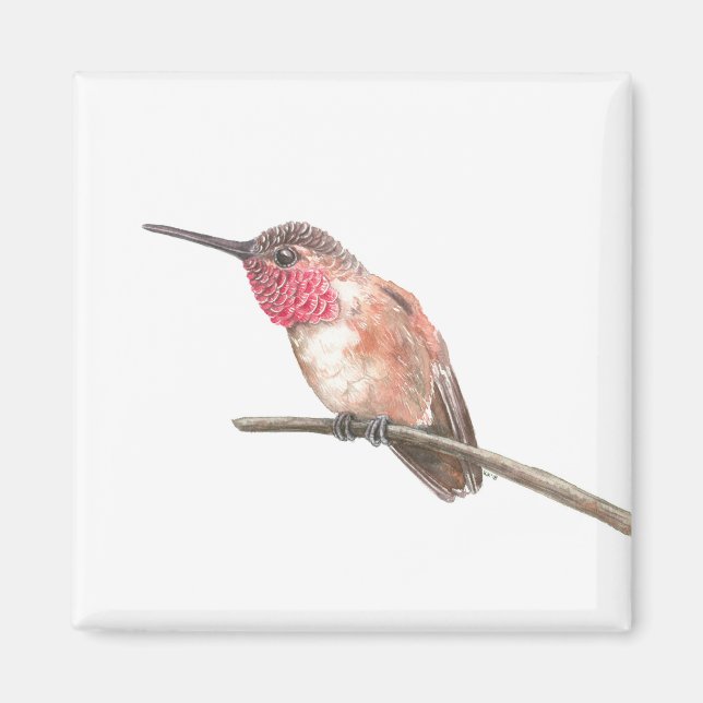 Aimant Hummingbird watercolor (Devant)