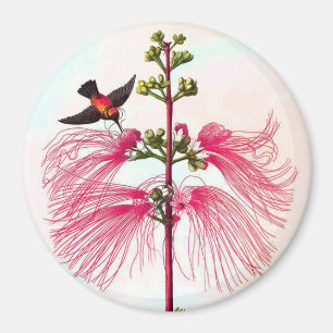 Aimant Hummingbirds mimosa arbre oiseau de fleur vintage