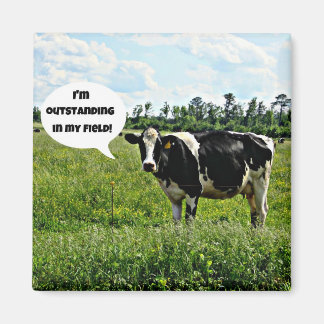 Aimant Humour de vache