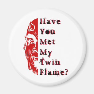 Aimant Humour démoniaque Twin Flame twinflame miroir diab