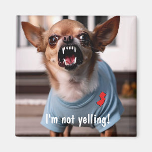 AIMANT HUMOUR NEW JERSEY CHIHUAHUA FRIGO