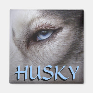 Aimant Husky Fridge Magnet Alaskan Sled Dog Magnet