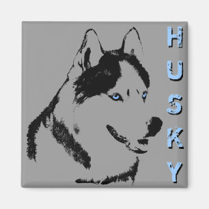 Aimant Husky Fridge Magnet Alaskan Sled Dog Magnet