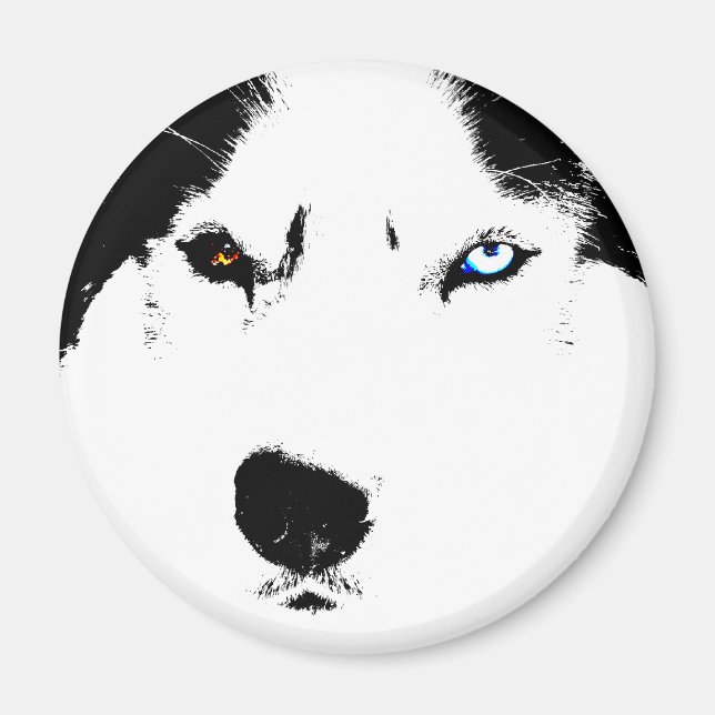 Aimant Husky Fridge Magnet Alaskan Sled Dog Magnet (Devant)