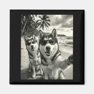 Aimant Husky sibérien cool selfie de chien drôle plage