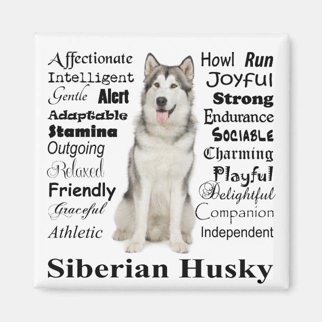 Aimant Husky Traits (Devant)